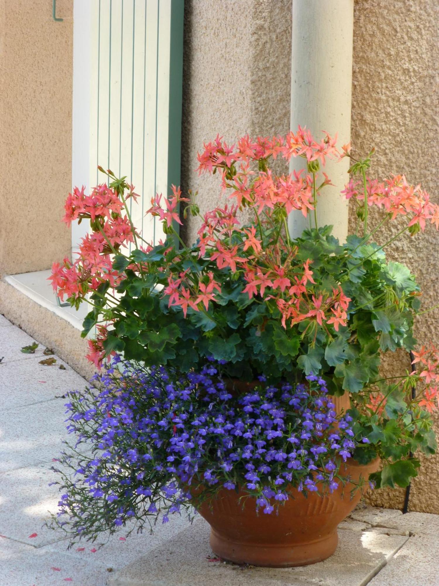 Le Relais Des Malettes Chambres D'Hotes B&B Francheville  Exterior photo